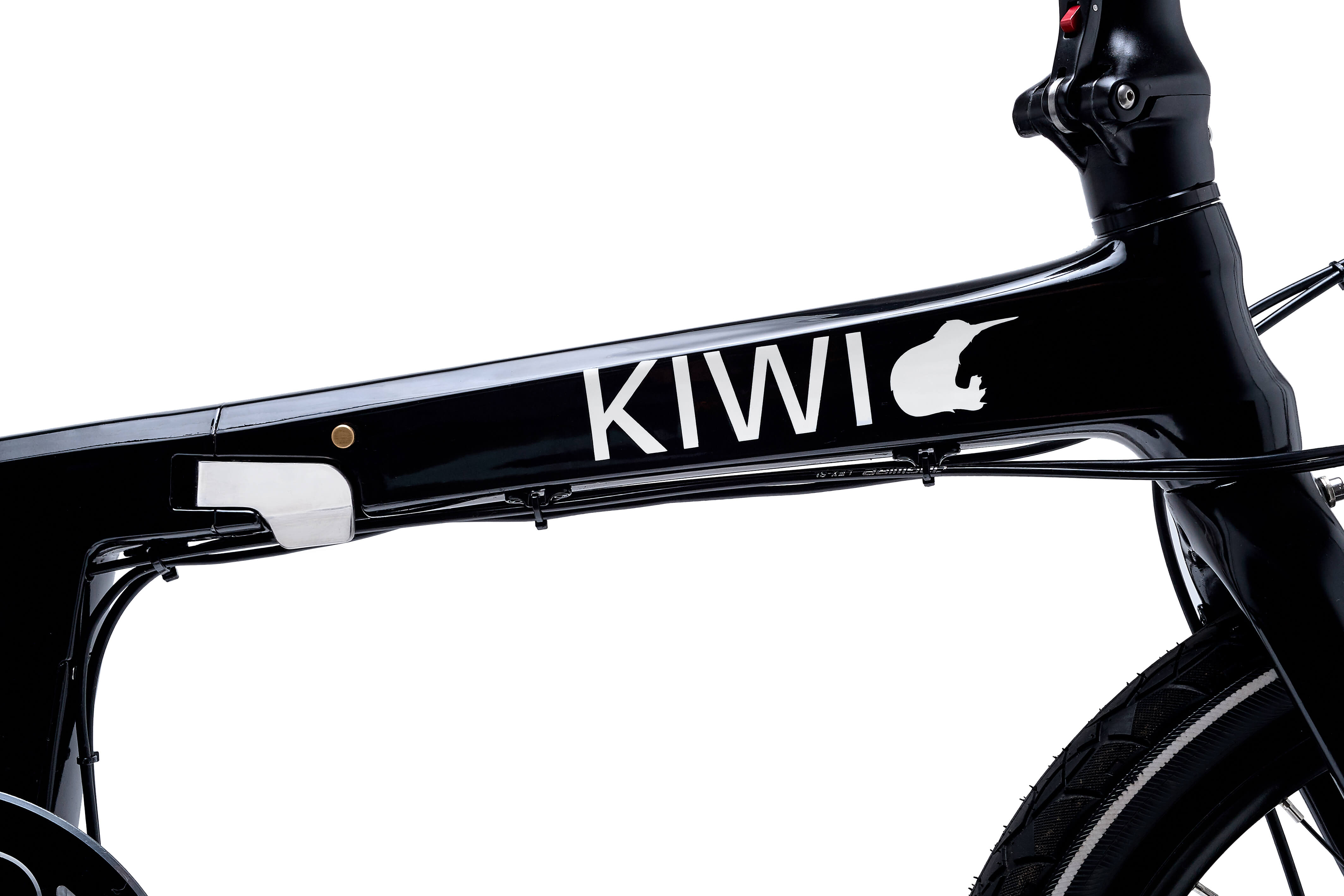 kiwi bike